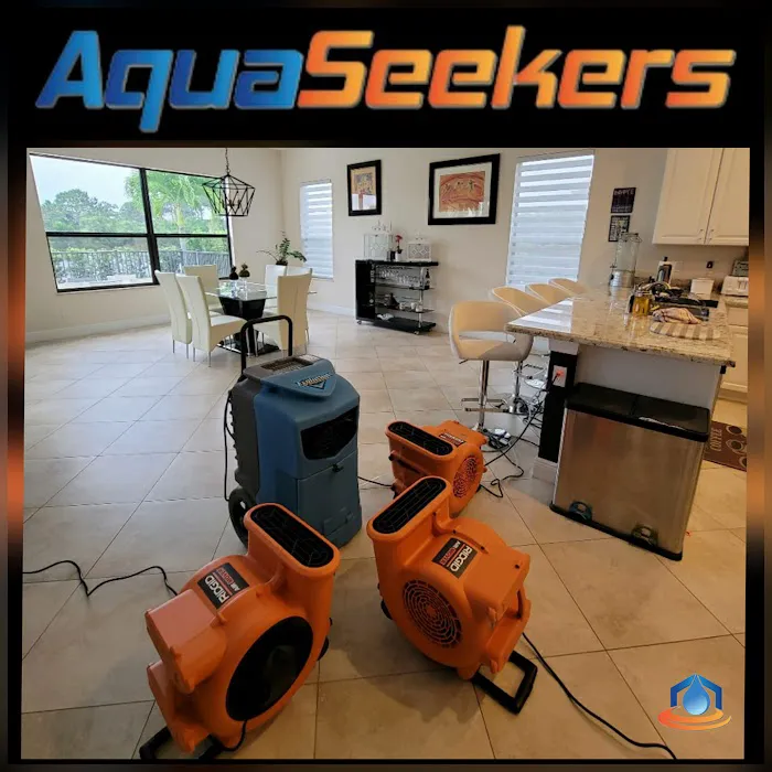 AquaSeekers LLC Water Damage Mold Removal Leak Detection Mold Testing & Fire Damage Picture 7