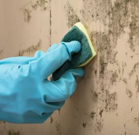 Final Port LLC Picture 7