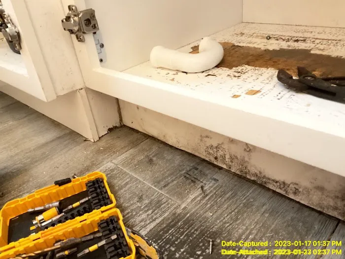 Rytech Restoration of Treasure Coast Picture 4