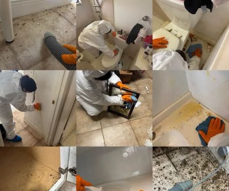 SERVPRO of Port St. Lucie NE