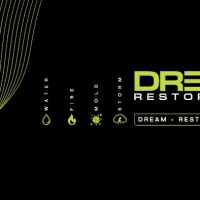 Dream Restoration ico