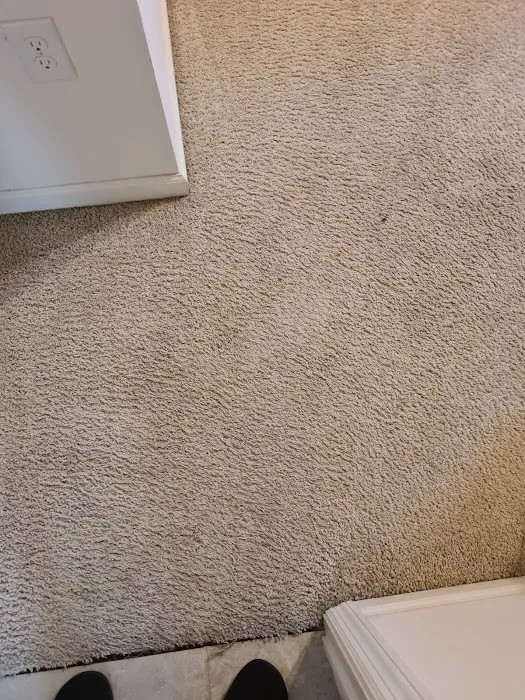 Stanley Steemer Picture 9