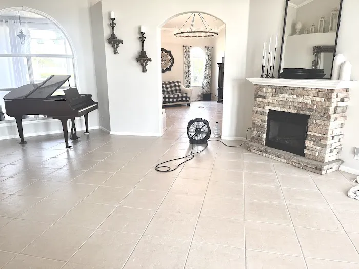 Stanley Steemer Picture 4