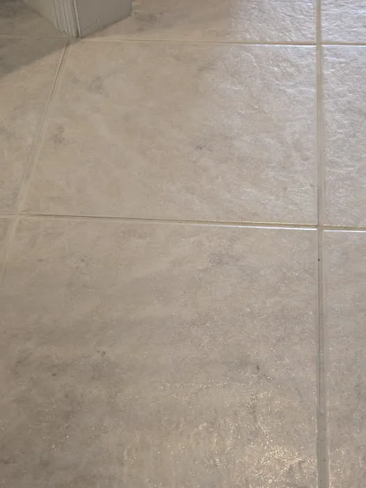 Stanley Steemer Picture 2