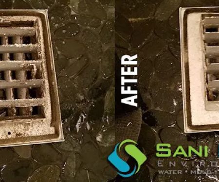 Sani Effect Environmental