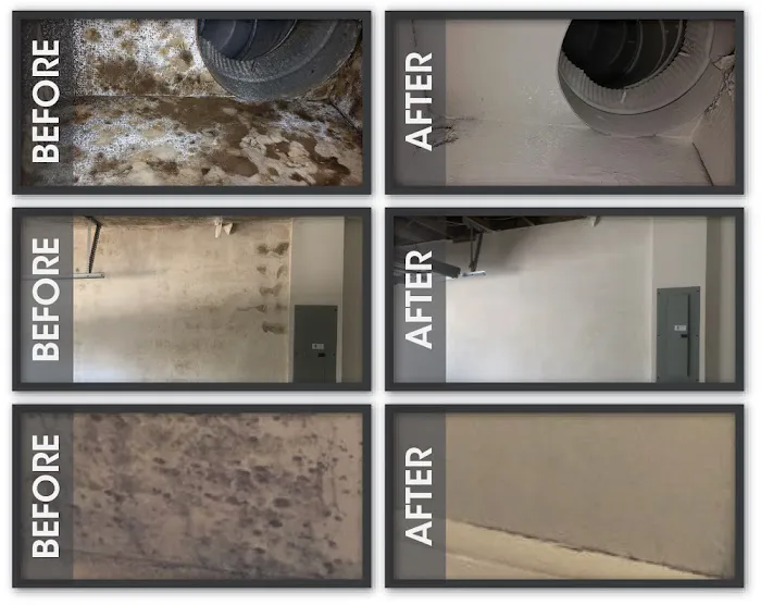 Sani Effect Environmental Picture 10