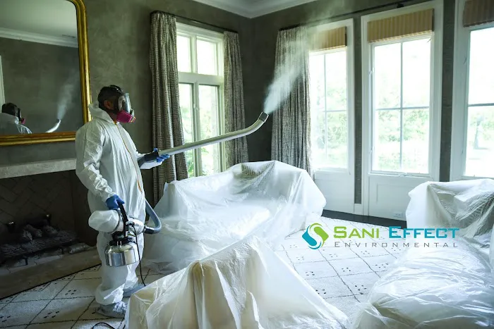 Sani Effect Environmental Picture 8