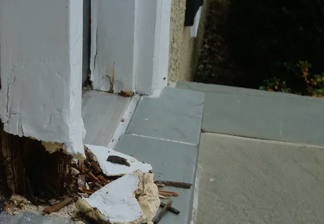 Pestus Repairs Picture 8