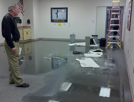 Pestus Repairs Picture 3