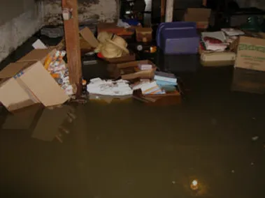 Pestus Repairs Picture 7