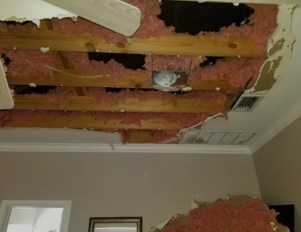 Pestus Repairs Picture 5