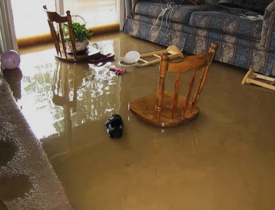 Pestus Repairs Picture 6