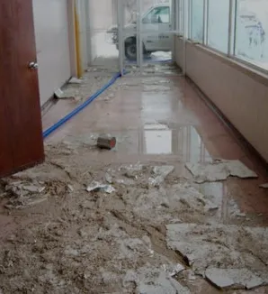 Pestus Repairs Picture 2