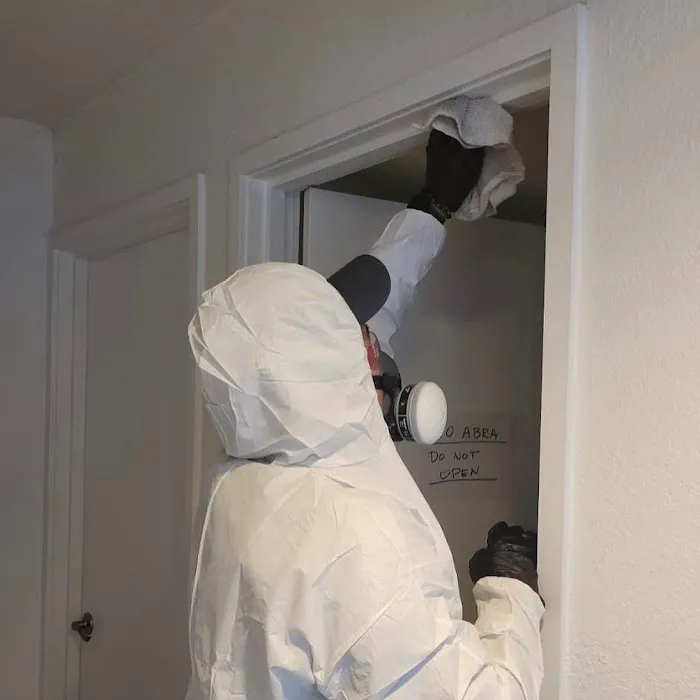 Nucleo Mold Remediation Picture 2