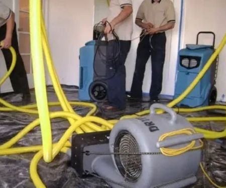 Nucleo Mold Remediation