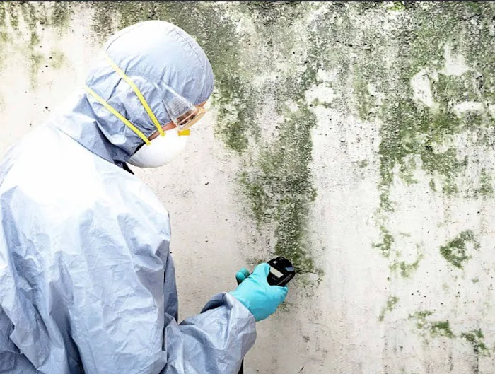 Nucleo Mold Remediation Picture 3