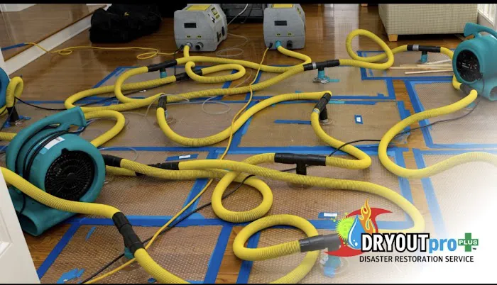 DRYOUTpro PLUS, Inc. Picture 8