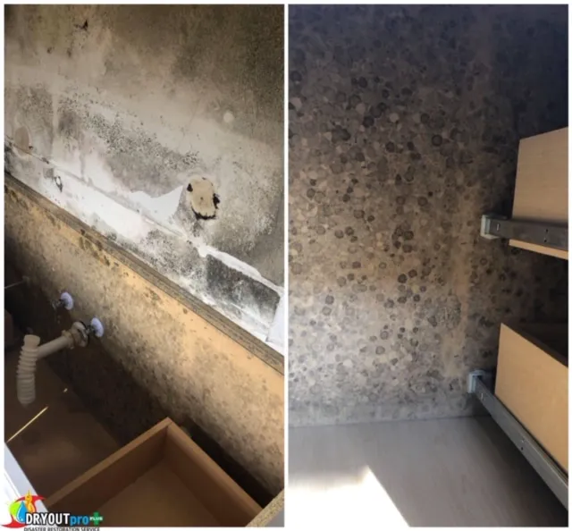 DRYOUTpro PLUS, Inc. Picture 5