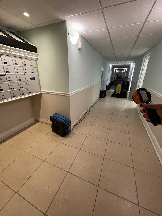 DRYOUTpro PLUS, Inc. Picture 1