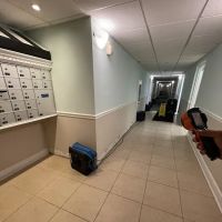 DRYOUTpro PLUS, Inc. ico