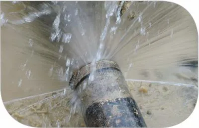 DRYOUTpro PLUS, Inc. Picture 3