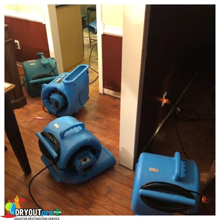 DRYOUTpro PLUS, Inc. Picture 7