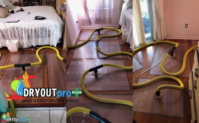 DRYOUTpro PLUS, Inc. Picture 2