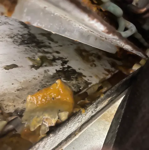 1st Quality Restoration Picture 2