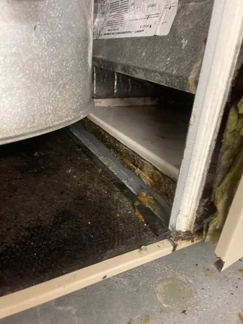 1st Quality Restoration Picture 6