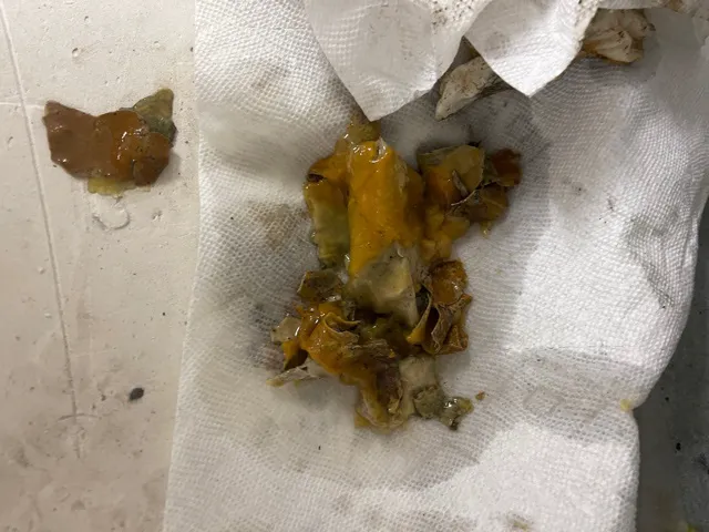 1st Quality Restoration Picture 7