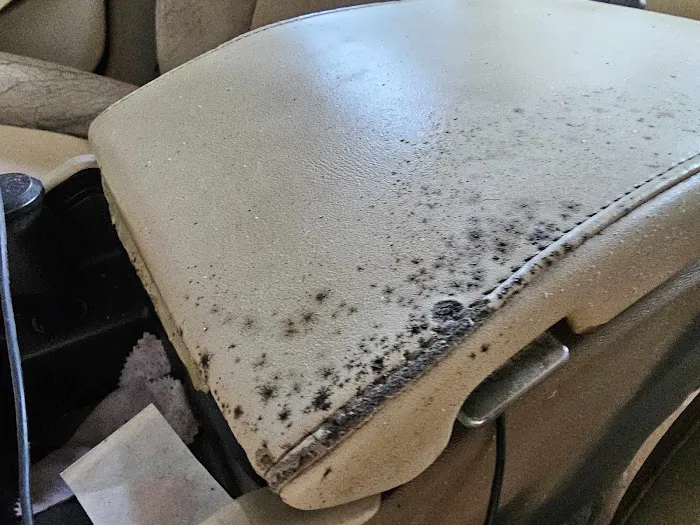 MoldSpec Environmental LLC Picture 4