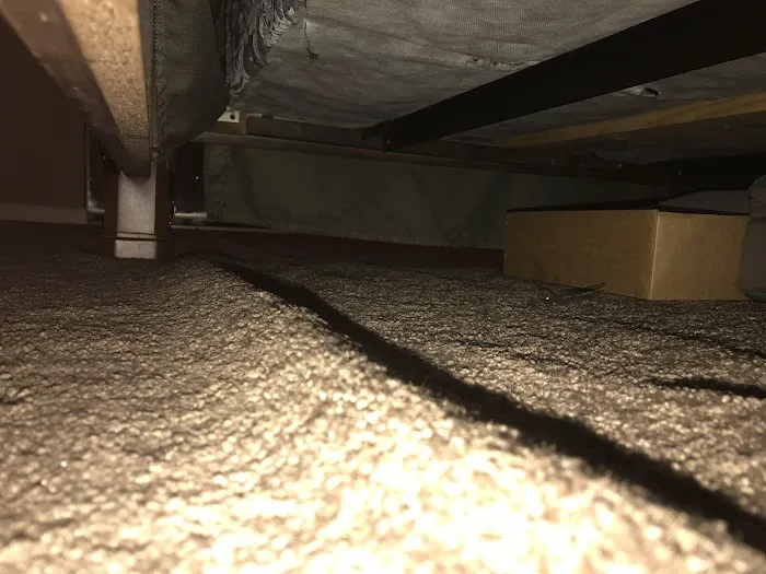 Ron's Restoration & Services LLC Picture 10