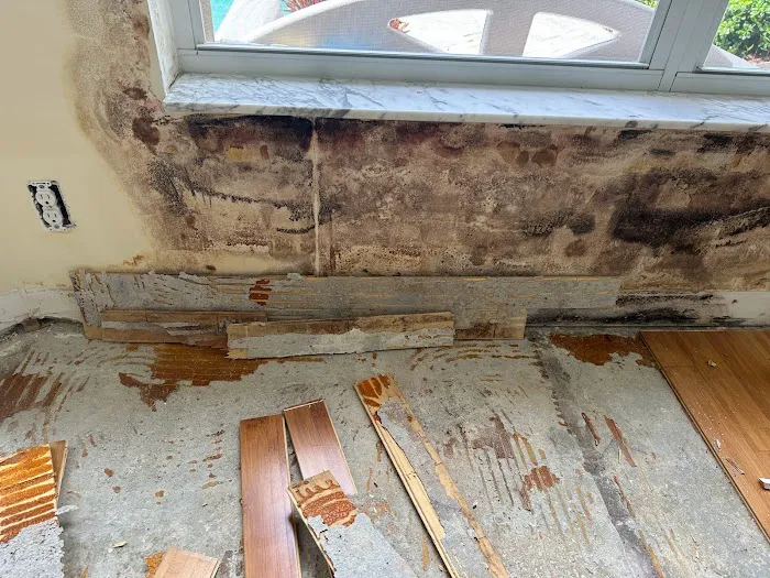 Florida Emergency Cleaning, LLC (Mold, Water, Fire, Biohazard / Hazmat Cleaning) Picture 1