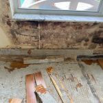 Florida Emergency Cleaning, LLC (Mold, Water, Fire, Biohazard / Hazmat Cleaning)