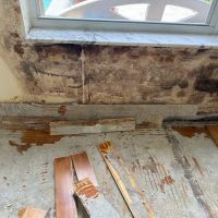 Florida Emergency Cleaning, LLC (Mold, Water, Fire, Biohazard / Hazmat Cleaning) ico