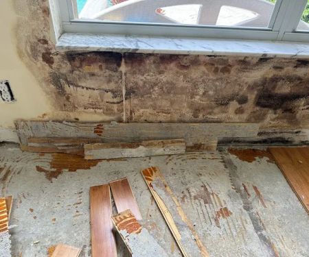 Florida Emergency Cleaning, LLC (Mold, Water, Fire, Biohazard / Hazmat Cleaning)