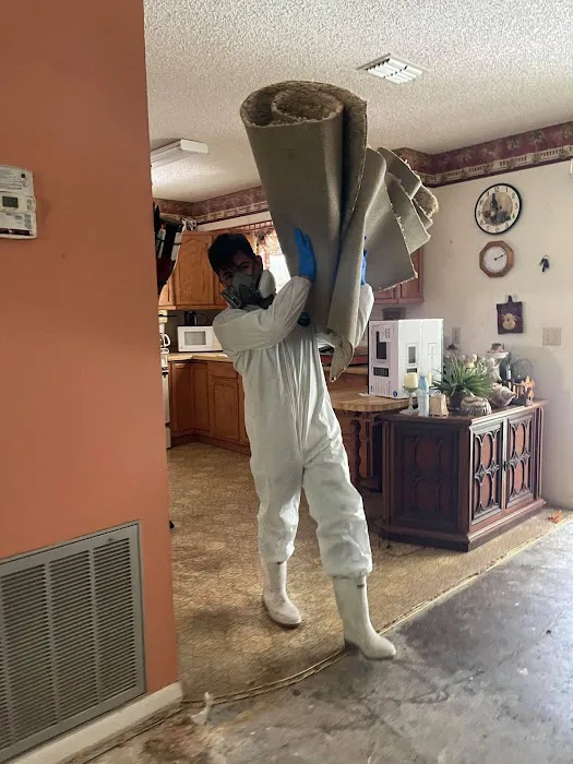 Florida Emergency Cleaning, LLC (Mold, Water, Fire, Biohazard / Hazmat Cleaning) Picture 4