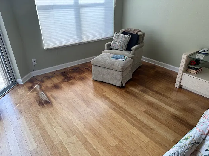 Florida Emergency Cleaning, LLC (Mold, Water, Fire, Biohazard / Hazmat Cleaning) Picture 5