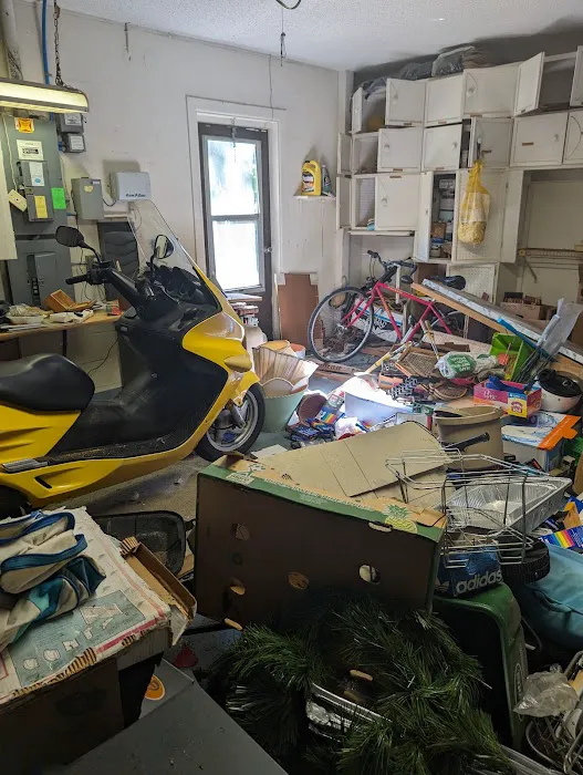 Florida Emergency Cleaning, LLC (Mold, Water, Fire, Biohazard / Hazmat Cleaning) Picture 2