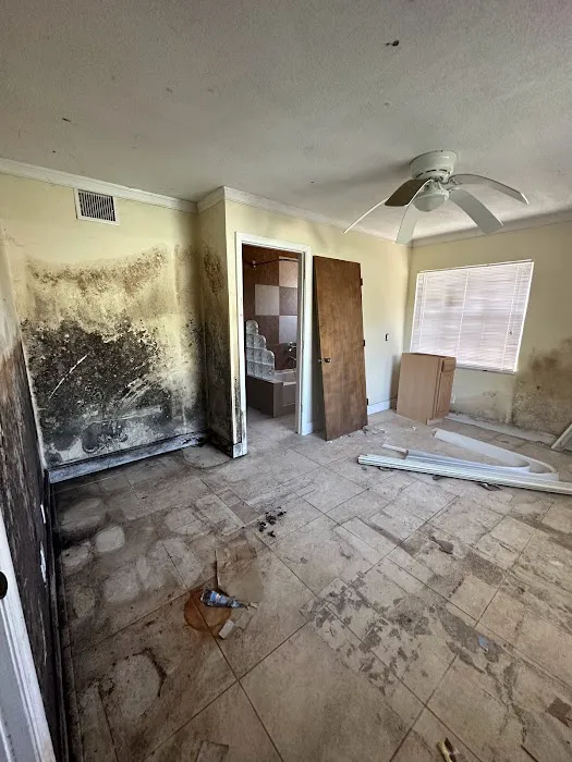 Florida Emergency Cleaning, LLC (Mold, Water, Fire, Biohazard / Hazmat Cleaning) Picture 6