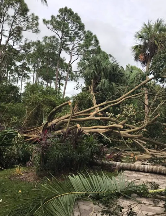 Coastal Property Restoration Picture 7