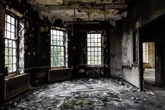 Coastal Property Restoration Picture 6