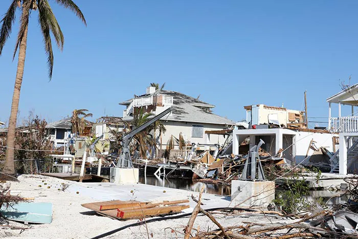 Coastal Property Restoration Picture 10