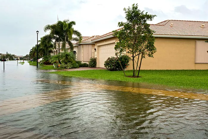 Coastal Property Restoration Picture 9