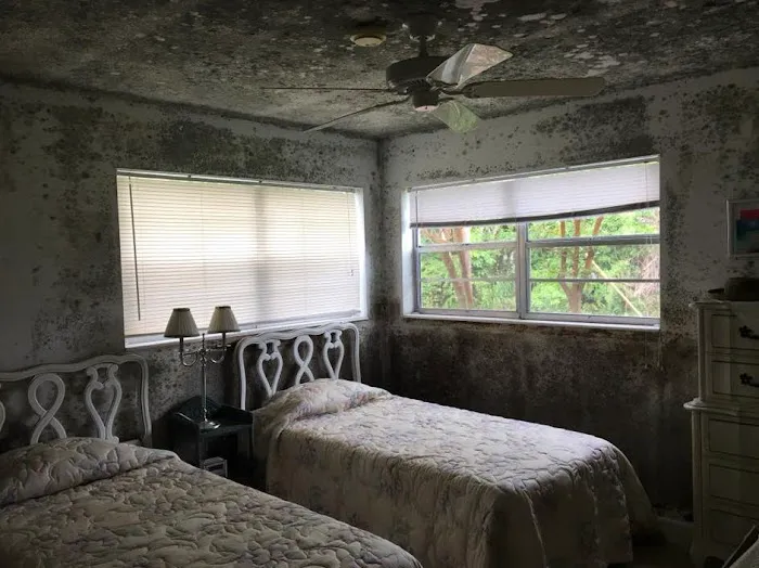 Coastal Property Restoration Picture 5