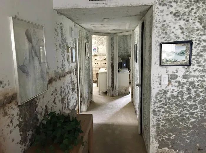 Coastal Property Restoration Picture 3