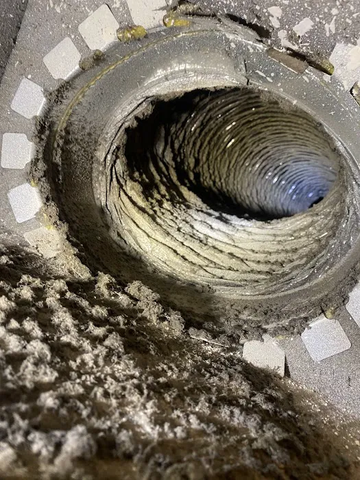 Mold removal Picture 9