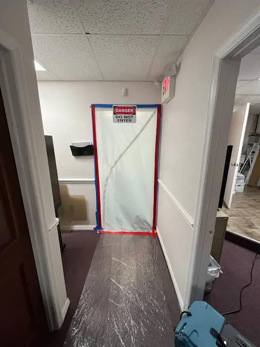 Mold removal Picture 5