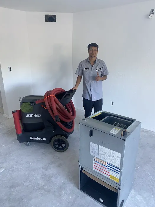 Mold removal Picture 2