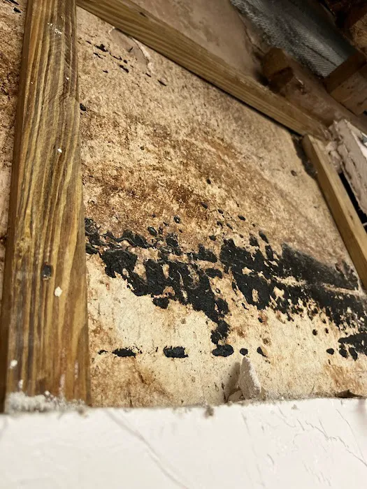 Mold removal Picture 3